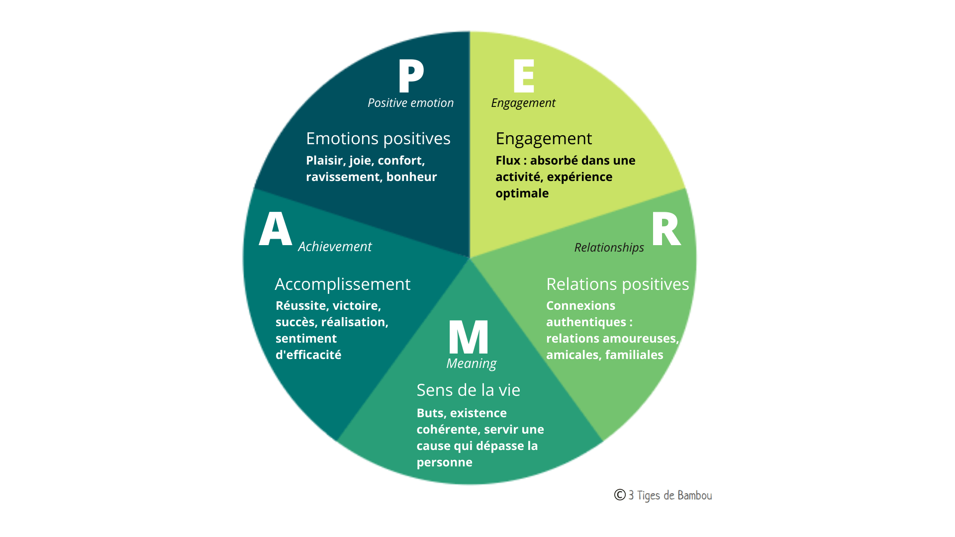 Psychologie Positive | Science Du Bien-Être - 3 Tiges De Bambou